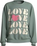 NAME IT Meisjes Sweater NKFVASACHA LS NREG SWEAT UNB Groen 134/140