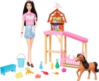 Barbie Mysteries The Great Horse Chase Pony en Accessoires