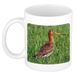 Bellatio Decorations Dieren grutto vogel foto mok 300 ml - cadeau beker / mok vogels liefhebber