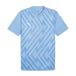 PUMA Teamglory Jersey Jr uniseks-volwassene Voetbal Shirt