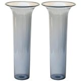 Plastia Bodemvaasinzet voor bloemenvazen 24 x 10,5 cm (2-pack) - inzetstuk voor bodemvazen van kunststof - Vaasinzet voor grafvaas