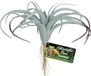 Zoo Med Kunstplant 29 cm Groen