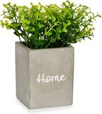 IBERGARDEN Decoratieve plant Grijs Cement Plastic (8 x 20 x 8 cm)