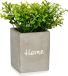 IBERGARDEN Decoratieve plant Grijs Cement Plastic (8 x 20 x 8 cm)