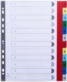 Exacompta 20 Tabbladen met Bedrukte Tabs in Gekleurde PP - 12 Tabs - 1 tot 12 - A4 Maxi