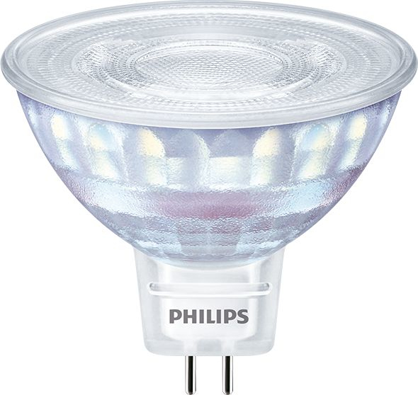 Philips by Signify Spot (dimbaar)