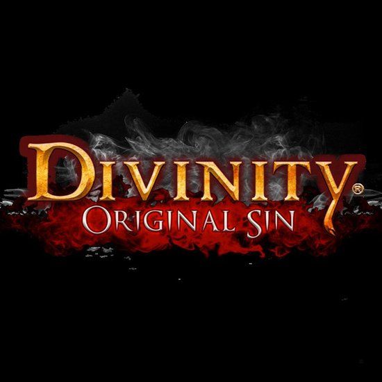 Larian Studios Divinity: Original Sin Standard Edition PC