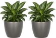 Floran Bloempot Boule - 2x - metallic - zilver - keramiek - D19 x H17 cm - plantenpotten binnen