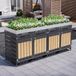 STILVORA Containerombouw – Geïntegreerde Plantenbak – 4-Vaks – IJzer – Zwart – Afsluitbaar en Geventileerd Voor Tuin en Terras