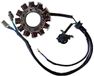 Sgr REDD PARTS SLU Sgr Monofase 12 Poles Yamaha Xt Stator Goud
