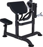 Gorilla Sports MAXXUS Curlbank PRO - 2-in-1 - Krachtstation - Biceps - Triceps