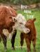Best Cool Creatures...God's Teachers- Best Mom Ever! Paperback