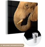 MuchoWow® Glass Painting 50x50 cm - Elephant - Acrylic Glass - Black - Photo on Glass