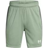 Under Armour UA B's Ch. Knit Short - Silica Groen/Castlerock/Wit - YXS