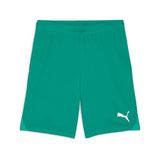 PUMA teamGOAL Korte broek