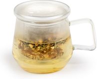 Bredemeijer Tea for One Livorno Theeglas met filter 290ml Transparant Glas