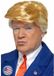 Smiffys Pruik Donald Trump