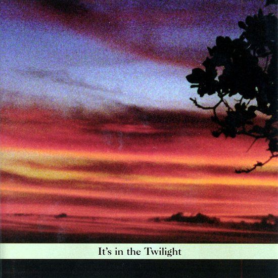 V2 Red Eye Paul Shapiro - It's In The Twilight