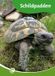 Documentatiecentrum Bol Junior Informatie 186 - Schildpadden Hardcover