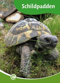 Documentatiecentrum Bol Junior Informatie 186 - Schildpadden Hardcover