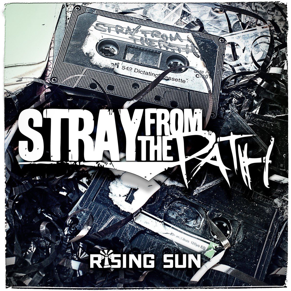 Universal Music Nederland Stray From The Path - Rising Sun (LP)