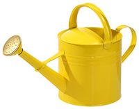 Dehner Gieter nostalgisch, 5 l, ca. 41 x 26 x 19 cm, zink, geel