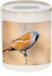 Shoppartners Bv Baardmannetje oiseau photo tirelire 9 cm