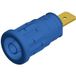 Hirschmann Test & Measurement SEP 2620 F6,3 Connecteur de sécurité pour laboratoire, bus femelle, montage vertical, Ø broche : 4 mm, bleu, 1 pièce(s)