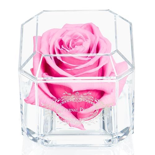 Eeuwige Roos - Roze - Witgoud