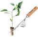 Désherbeur - Acier inoxydable - Manche en bois - Pour jardin et bordure