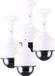 Benson Dummy Beveiligings Camera - 4x - LED dome - kunststof - realistisch - binnen en buiten