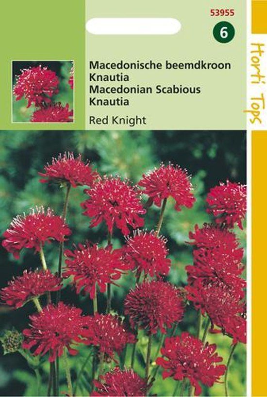 Hortitops Macedonische Beemdkroon Bloemzaad - Red Knight