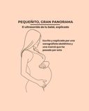 Pequeñito, Gran Panorama: El Ultrasonido de Tu Bebé, Explicado — Lo Que Tu Técnica de Ultrasonido Ve en la Pantalla