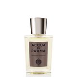 Acqua di Parma Colonia Intensa / 50 / Men