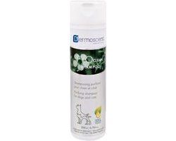 Dermoscent PYOclean Shampoo voor hond en kat - 200ml