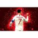 Football Papier Peint Panoramique - Joueur De Foot - 512 cm X 320 cm