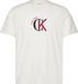 Calvin Klein Heren T-shirt met korte mouw en ronde hals, 100% katoen, Regular Fit, Casual, Maat M, Wit
