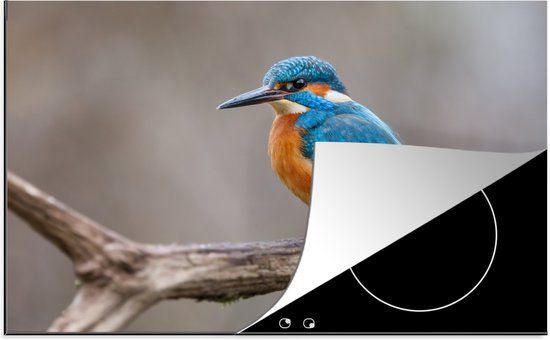 KitchenYeah® Inductie beschermer 77x51 cm - IJsvogel - Inductiebeschermer voor Inductie Kookplaat