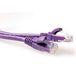 ACT Violet 0,5 mètre U/UTP CAT6 câble de raccordement sans crochet avec connecteurs RJ45 IS1700