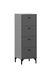 Schildmeyer Smash 156494 Commode, antraciet, 40,1 x 40 x 116,7 cm