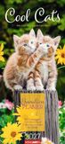 Cool Cats Familienplaner 2027