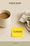 Sunday Brain: The 75-Page Home System for Adults with ADHD