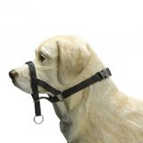 Brekz Beeztees Dog Control S Westy - Hondenhalsband - Zwart - 45 cm