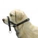 Brekz Beeztees Dog Control S Westy - Hondenhalsband - Zwart - 45 cm