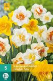 Jub Bol Narcis Dubbel Mix
