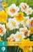 Jub Bol Narcis Dubbel Mix