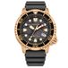 Citizen Analoog BN0163-00H, Zwart, riem
