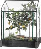 Green>it® HOME It® Tuinkas voor Verhoogde Bedden