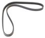 MAPCO Keilrippenriemen 240920