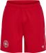 hummel Dbu 26 Fan Knitted Shorts